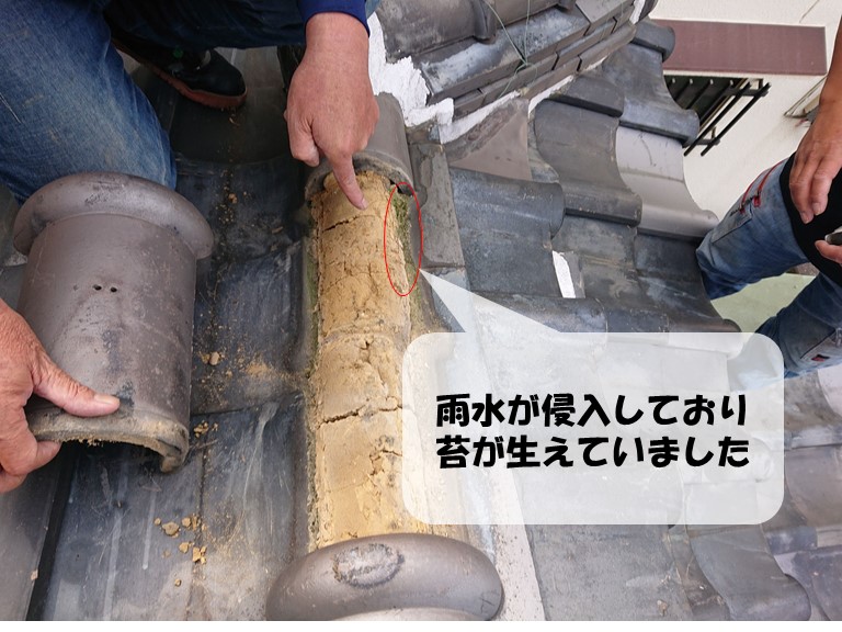 紀の川市でのし瓦と冠瓦の隙間にも雨水が浸透して苔が生えていました