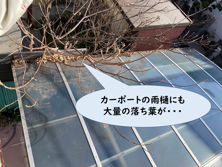 紀の川市でカーポートの雨樋にも落ち葉が溜まってます