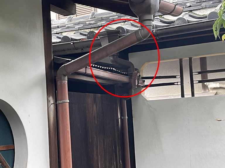 紀の川市で塀と収納部屋で繋がっている雨樋の清掃をします