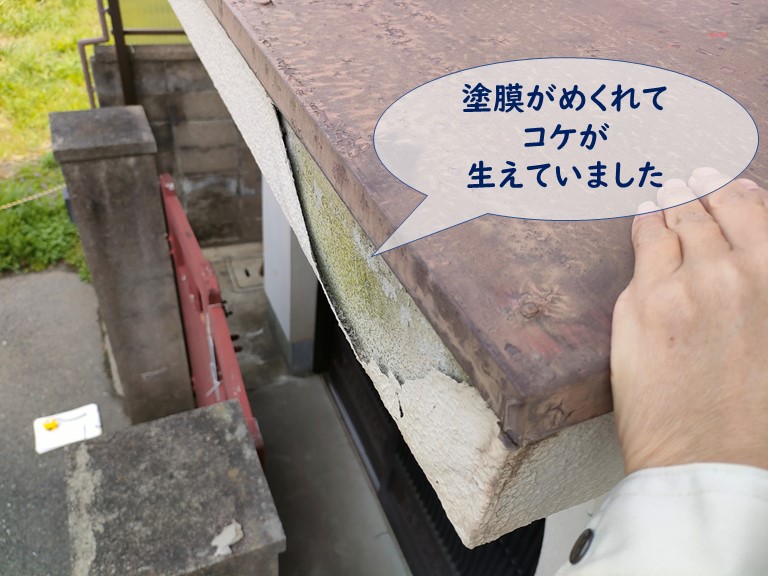 紀の川市で塗膜が剥がれて壁にコケが生えてます