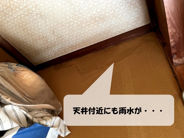 紀の川市で天井付近の壁にも雨染みができていました