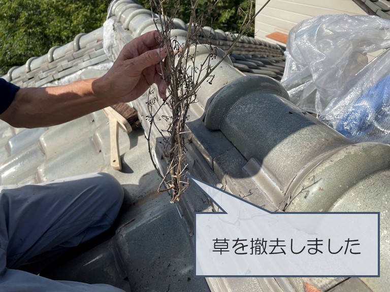 紀の川市で屋根に生えた雑草を撤去しました