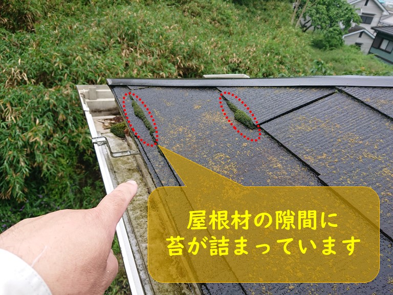 紀の川市で屋根材の隙間に苔が詰まっていました