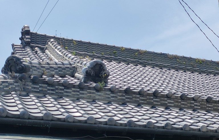 紀の川市で平屋の屋根に雑草が生えているご相談
