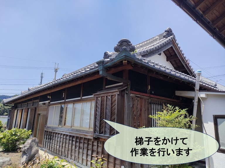 紀の川市で梯子をかけて屋根に生えた植物を撤去します