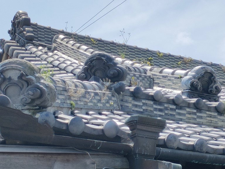 紀の川市で棟部分に雑草が生えていました