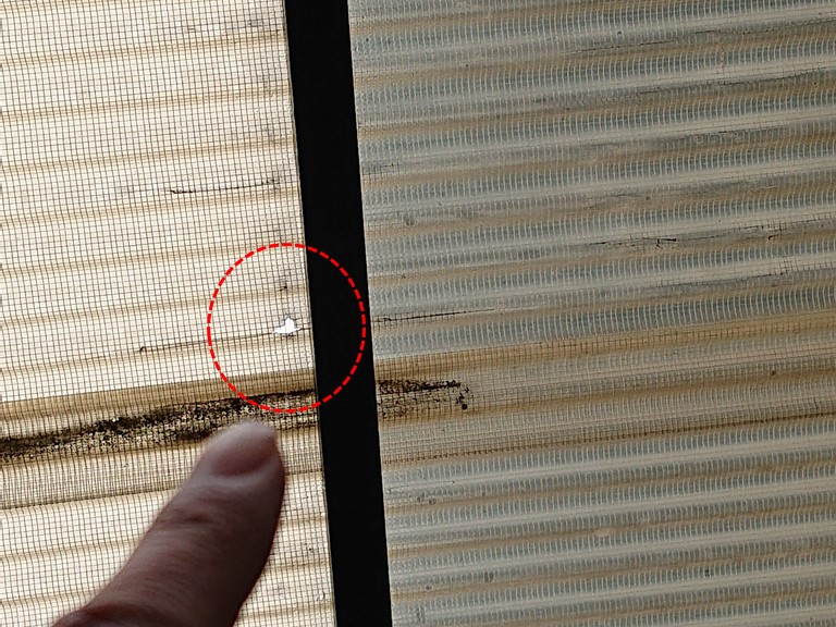 紀の川市で波板屋根に穴