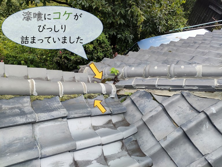 紀の川市で漆喰にコケが生えてました