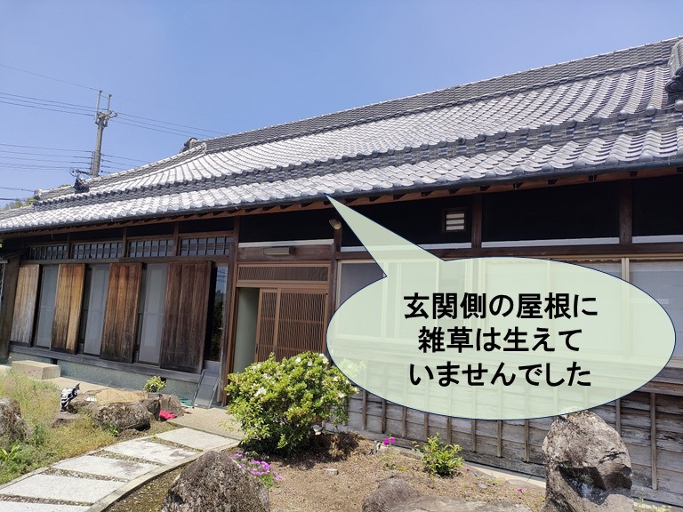 紀の川市で片面に雑草が生えていました