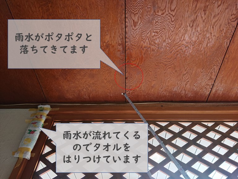 紀の川市で玄関の天井から雨水がポタポタと落ちていました