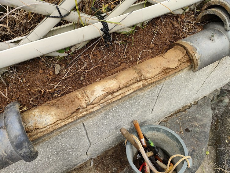 紀の川市で瓦の下に生えた草を撤去