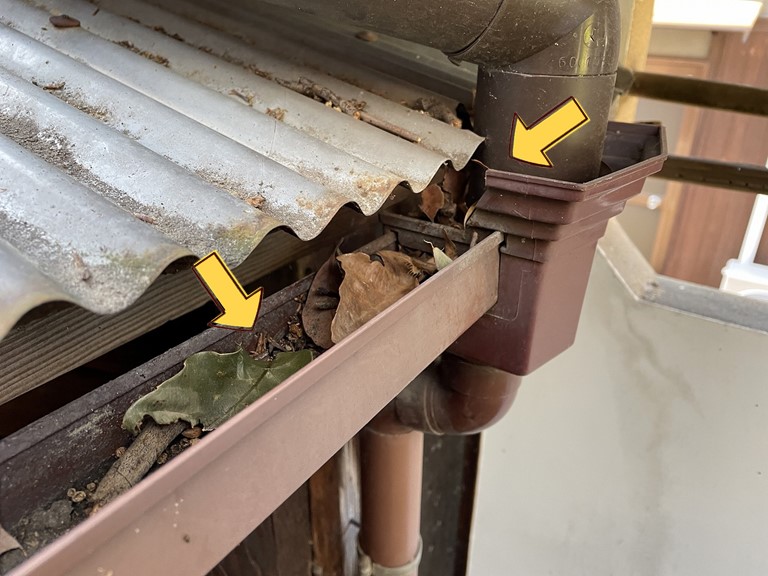 紀の川市で軒樋と集水器に溜まった草を撤去します