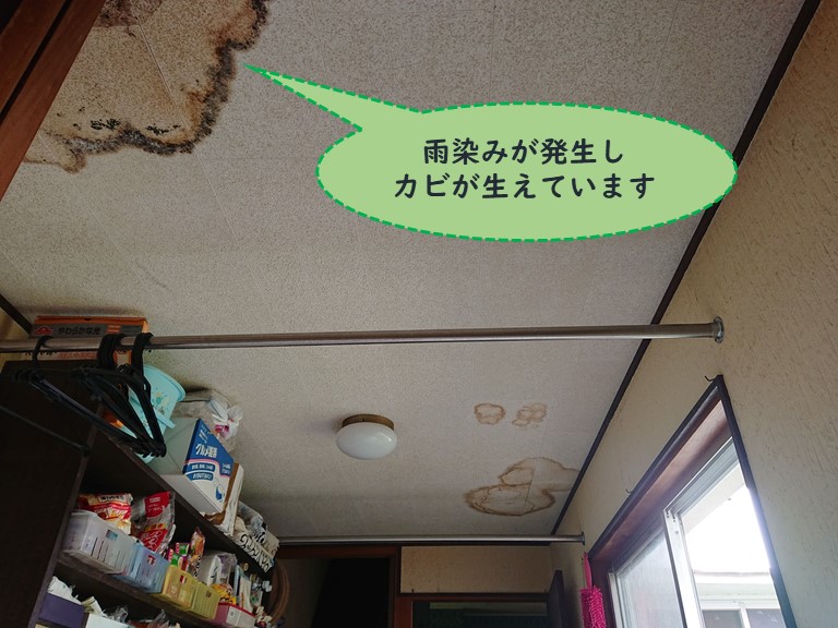 紀の川市で雨染みが発生しカビ生えている