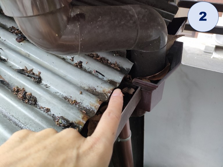 紀の川市で雨樋の詰まり