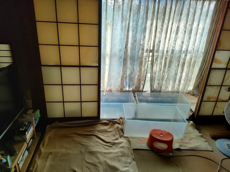 紀の川市で雨水が落ちてくるので箱を置いていました