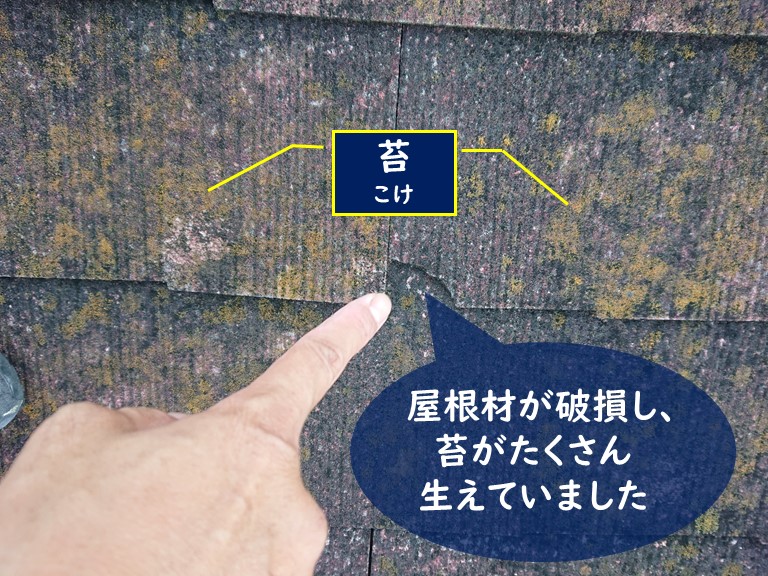 紀の川市で台風の被害に遭った自宅へ雨漏り調査しました