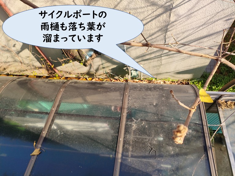 紀の川市のサイクルポートに落ち葉が溜まってました