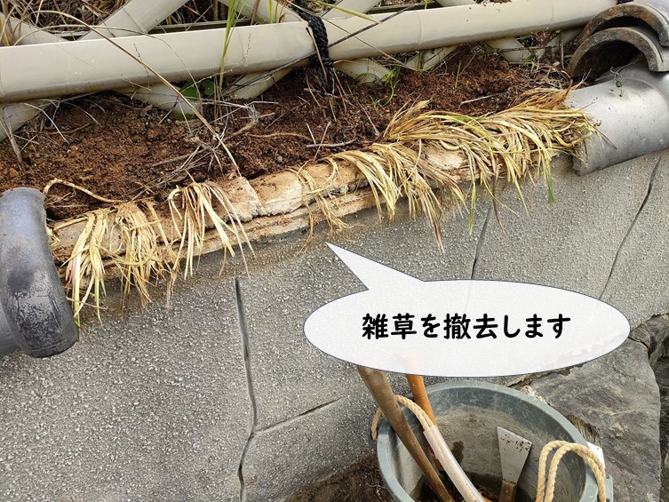 紀の川市の塀の瓦を剥がすと草が生えていました