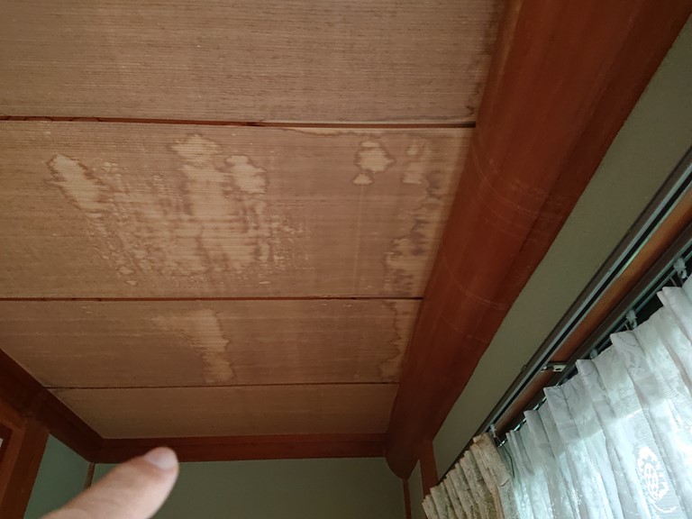 紀の川市の廊下に雨漏りのしみが発生