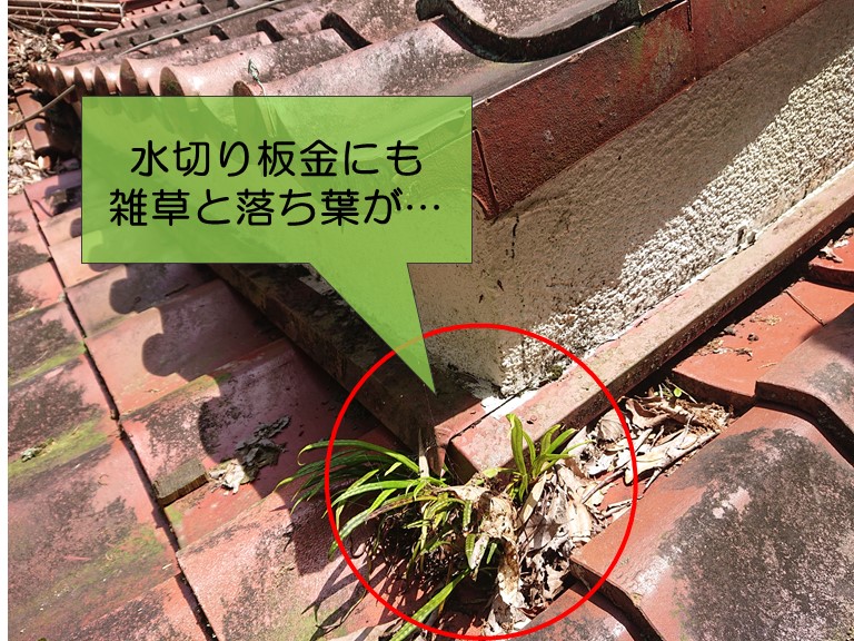 紀の川市の水切り板金部分にも落ち葉がたくさん落ちていました