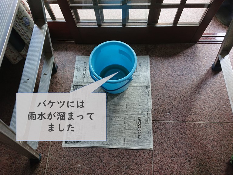 紀の川市の玄関から雨水が落ちてきてバケツに雨水が溜まってました