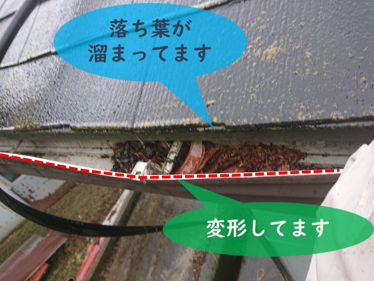 紀の川市の軒樋を見てみると落ち葉がつまっていました