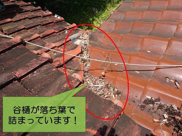 紀の川市の雨漏り調査で谷樋に枯葉がたくさん落ちていました