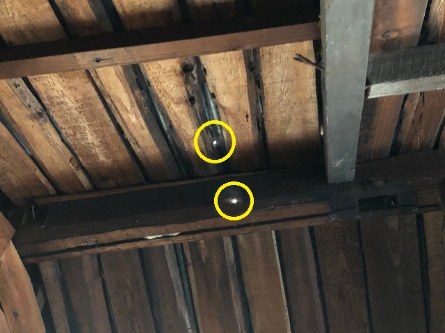 明かりが漏れる