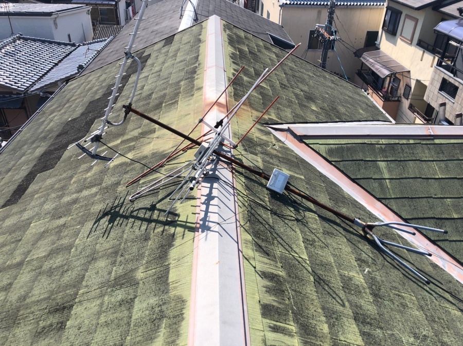 アンテナが倒れた