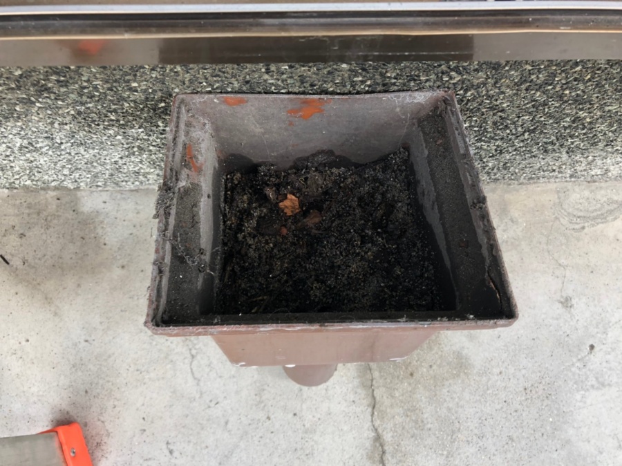 樋のごみつまり