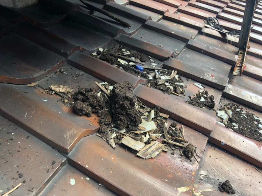 屋根の上にごみ