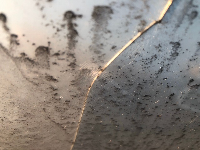 ポリカひび割れ下から