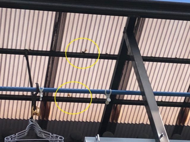 フックが外れかけている