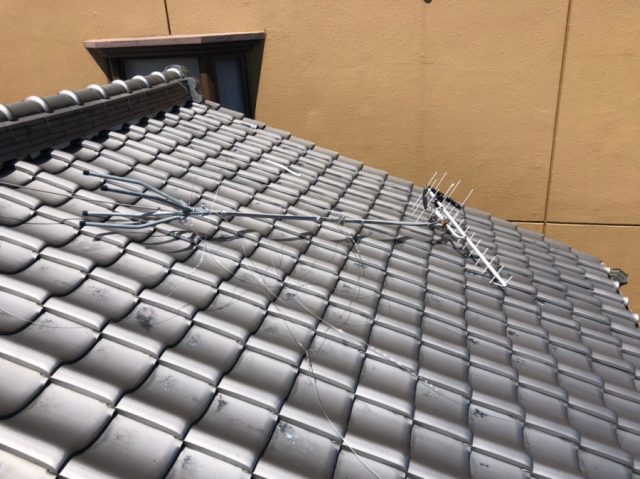 アンテナが倒れた