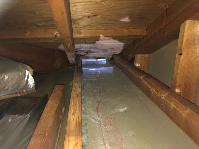 天井裏で雨漏り