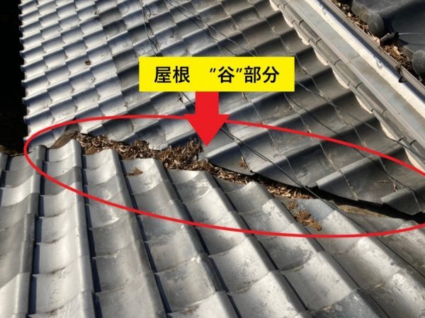 瓦屋根谷部写真