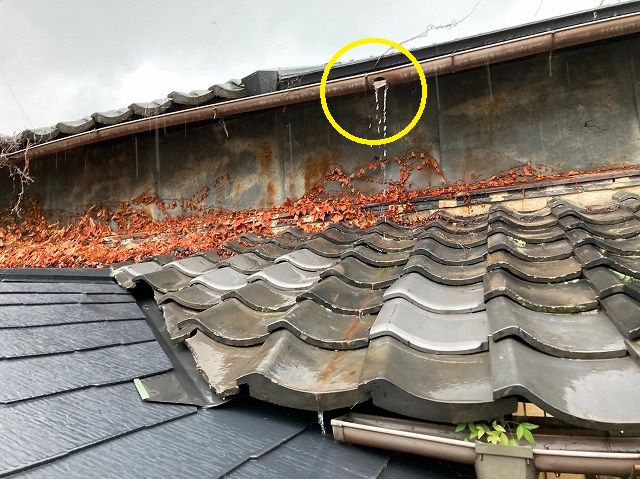 樋の集水器がない