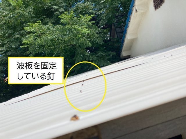 八尾市で波板交換