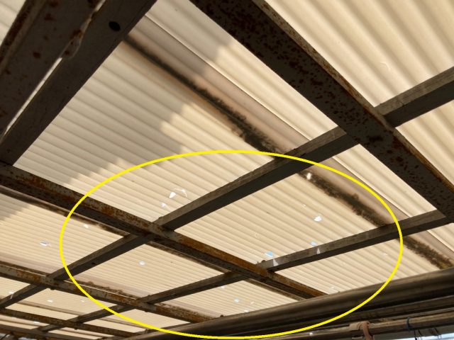 八尾市で波板に穴がいた