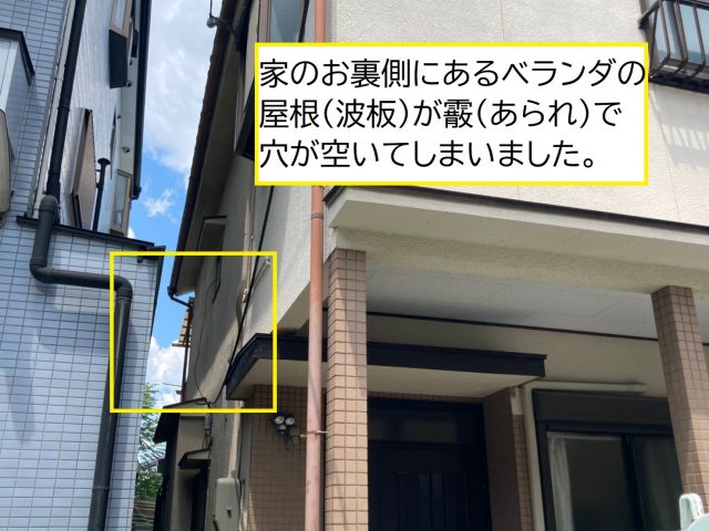 八尾市で波板に穴がいた