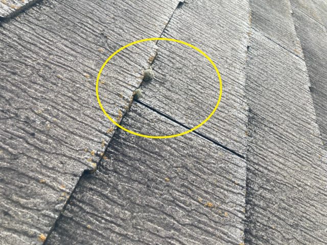 八尾市のスレート屋根の劣化