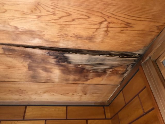 八尾市のラミ天