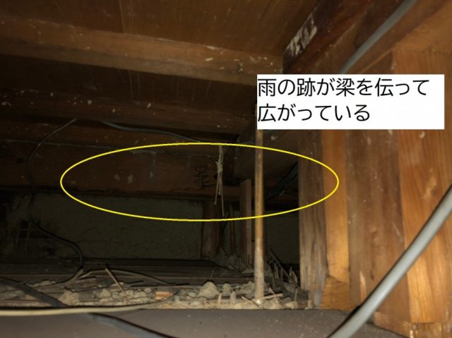 八尾市天井裏の点検