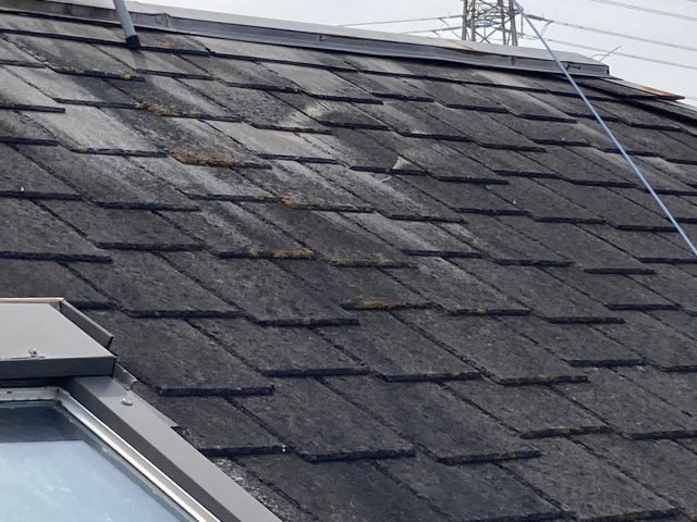 旧クボタアーバニー