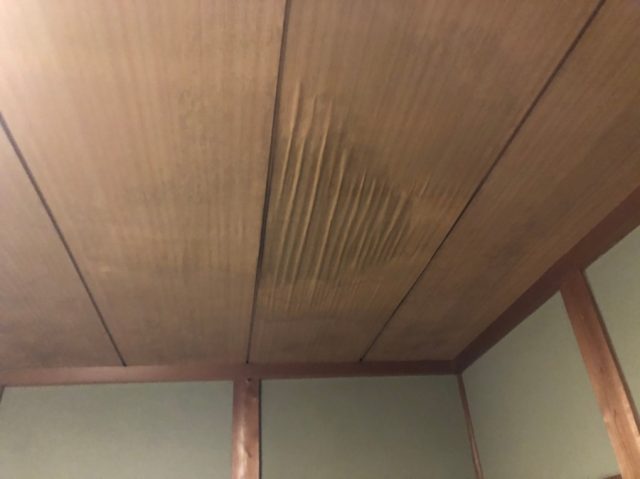 雨漏り
