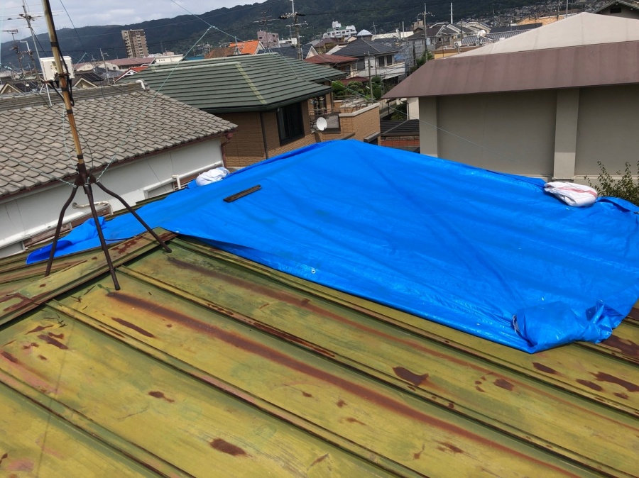 ブルーシートで養生