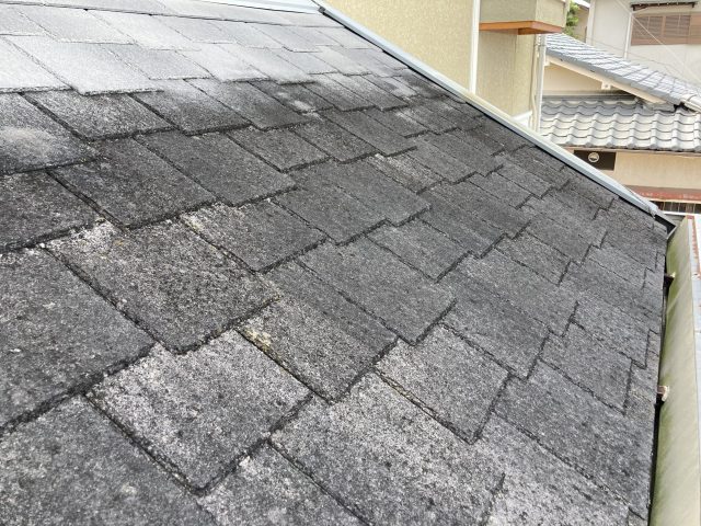 クボタアーバニー