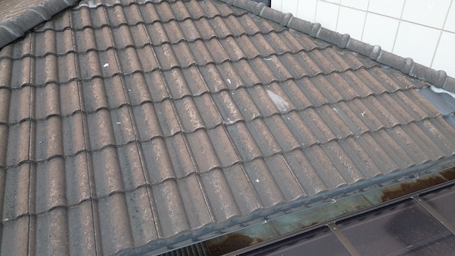 柏原市法善寺で見つかったセメント瓦の塗装剥がれとコケ