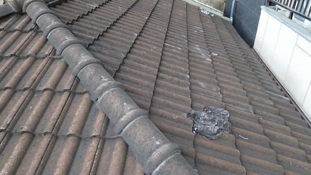 柏原市法善寺の屋根の上に強風で飛来した謎の異物と雨漏りリスク