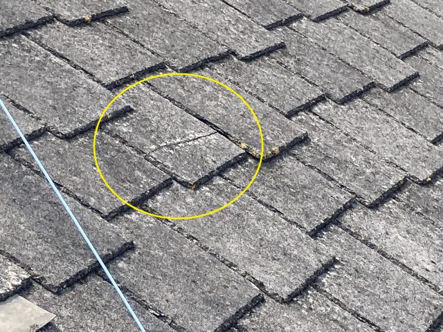 クボタアーバニーひび割れ